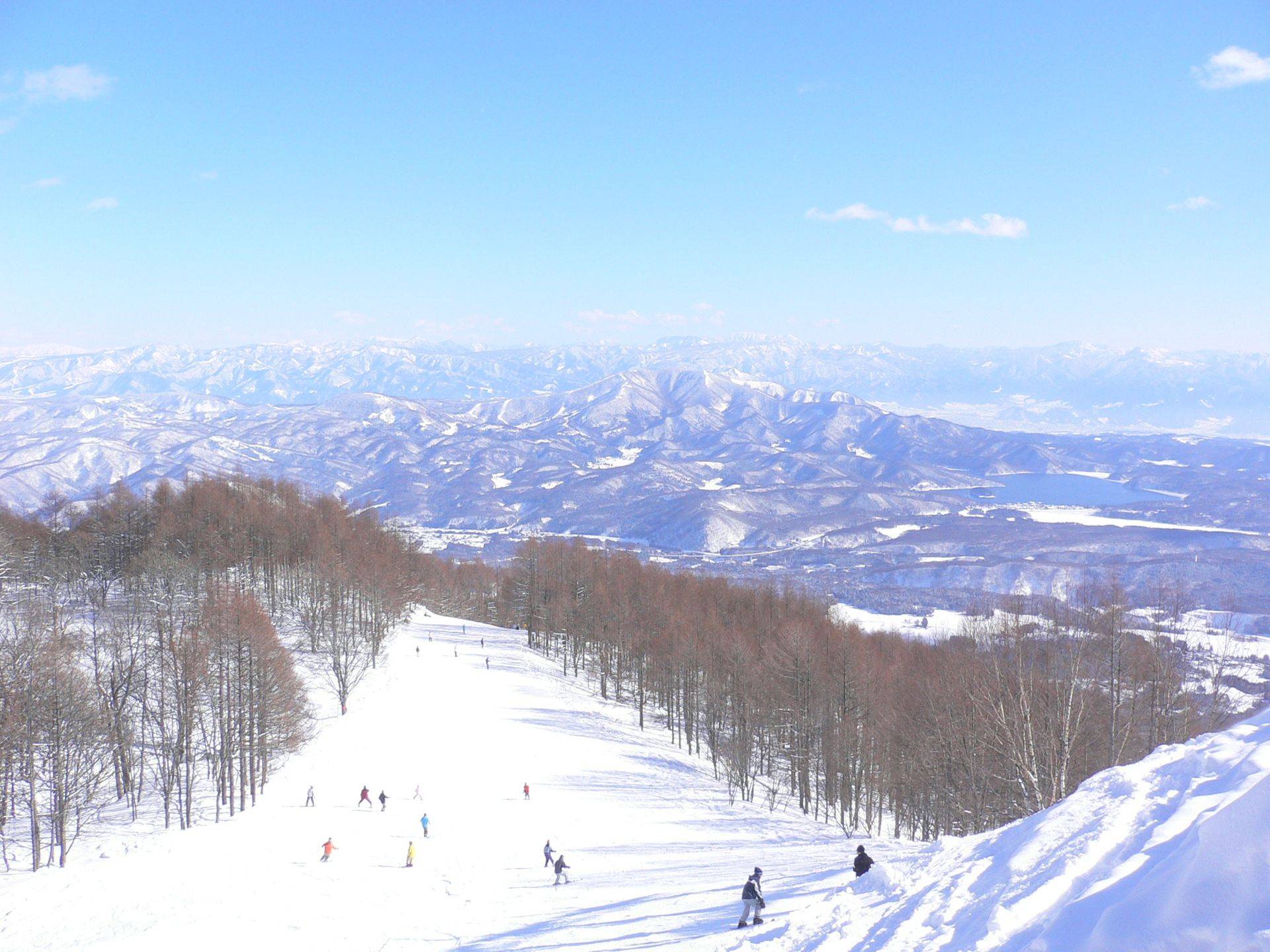 妙高杉之原雪場